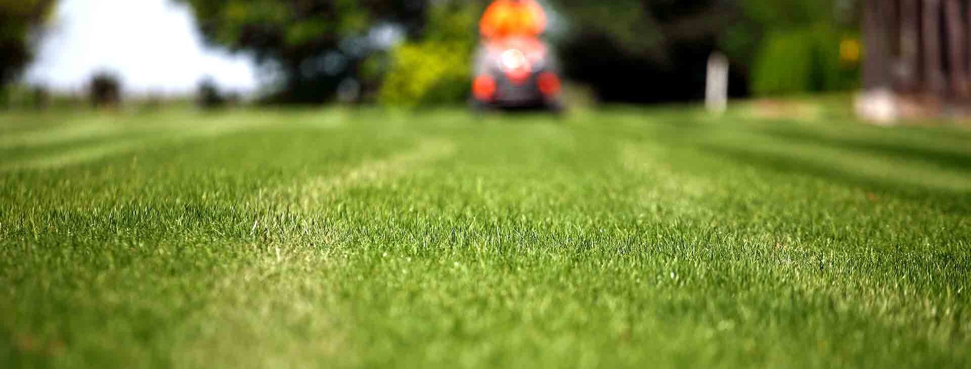 Your lawn and landscape<br />
the way that it should
